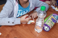 IMG-20190122-WA0017