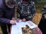 Activități decembrie 2020