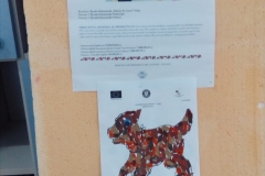 IMG-20190222-WA0018