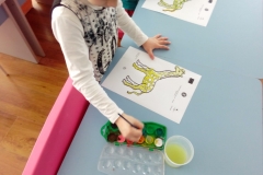 IMG-20190222-WA0028