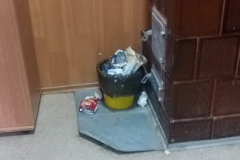 20190215_110515