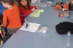 IMG-20200123-WA0010