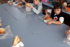 IMG-20200123-WA0037