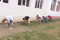 IMG-0884
