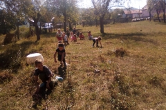 IMG-20200929-WA0025